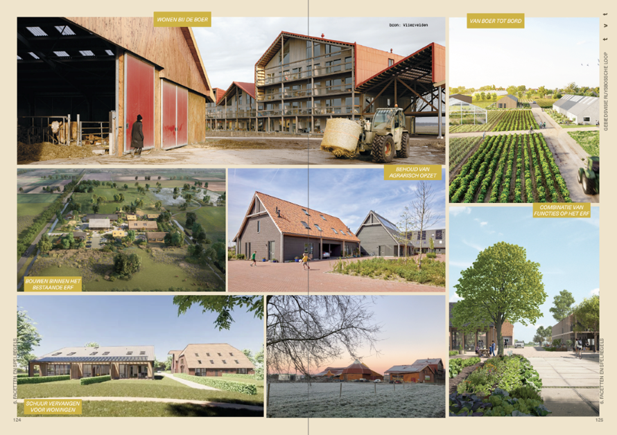 afbeelding binnen de regeling
