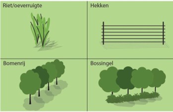 afbeelding binnen de regeling