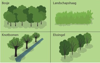 afbeelding binnen de regeling