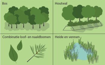 afbeelding binnen de regeling