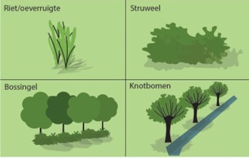 afbeelding binnen de regeling