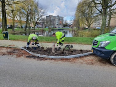 afbeelding binnen de regeling