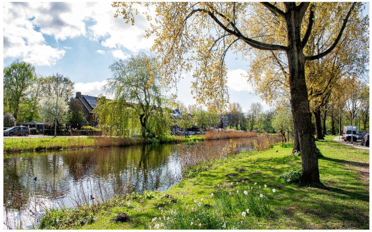 afbeelding binnen de regeling