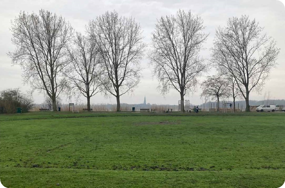 afbeelding binnen de regeling