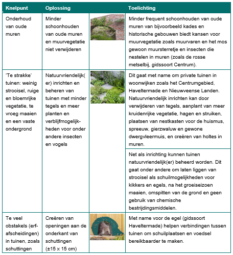 Afbeelding met tekst, schermopname&#10;&#10;Door AI gegenereerde inhoud is mogelijk onjuist.