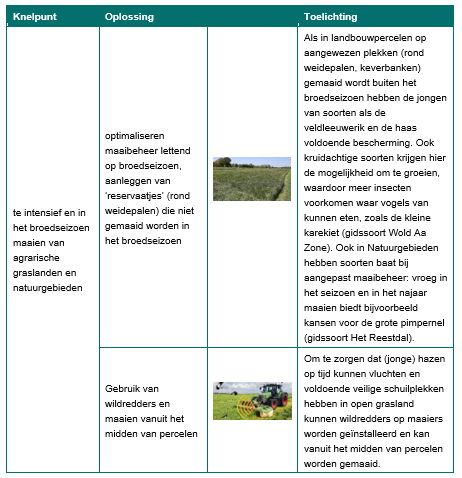 Afbeelding met tekst, schermopname&#10;&#10;Door AI gegenereerde inhoud is mogelijk onjuist.