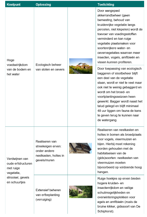 Afbeelding met tekst, schermopname, Website, Webpagina&#10;&#10;Door AI gegenereerde inhoud is mogelijk onjuist.