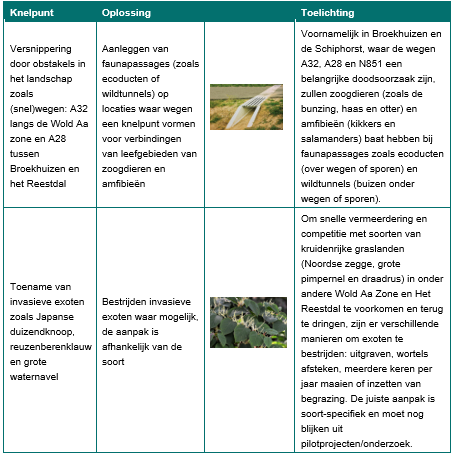 Afbeelding met tekst, schermopname&#10;&#10;Door AI gegenereerde inhoud is mogelijk onjuist.