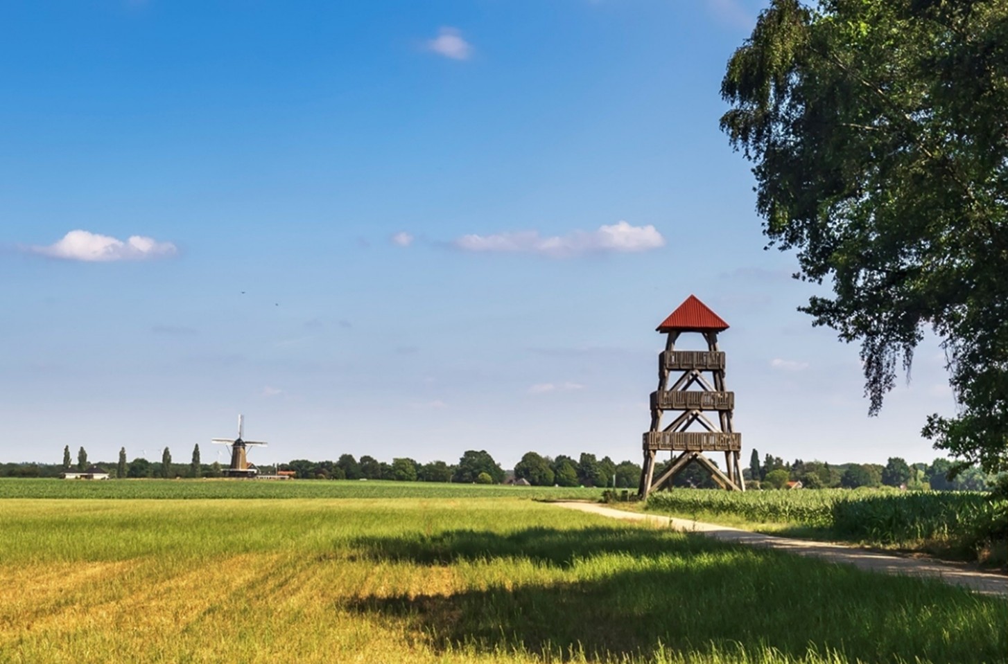 afbeelding binnen de regeling