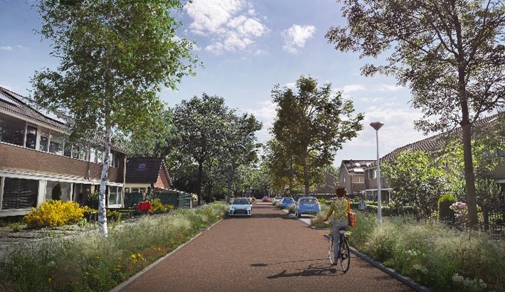 afbeelding binnen de regeling