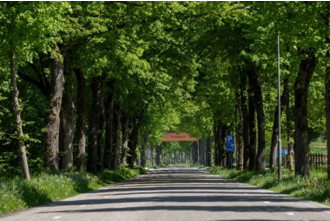 afbeelding binnen de regeling