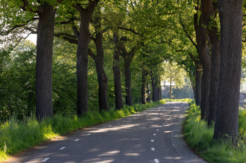 afbeelding binnen de regeling