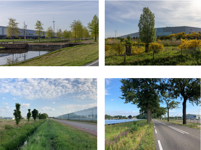 afbeelding binnen de regeling