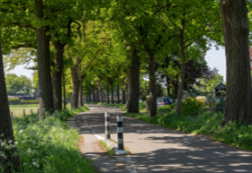 afbeelding binnen de regeling