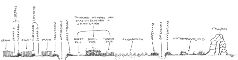 afbeelding binnen de regeling