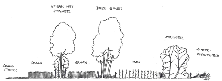 afbeelding binnen de regeling