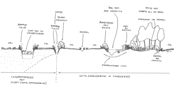 afbeelding binnen de regeling