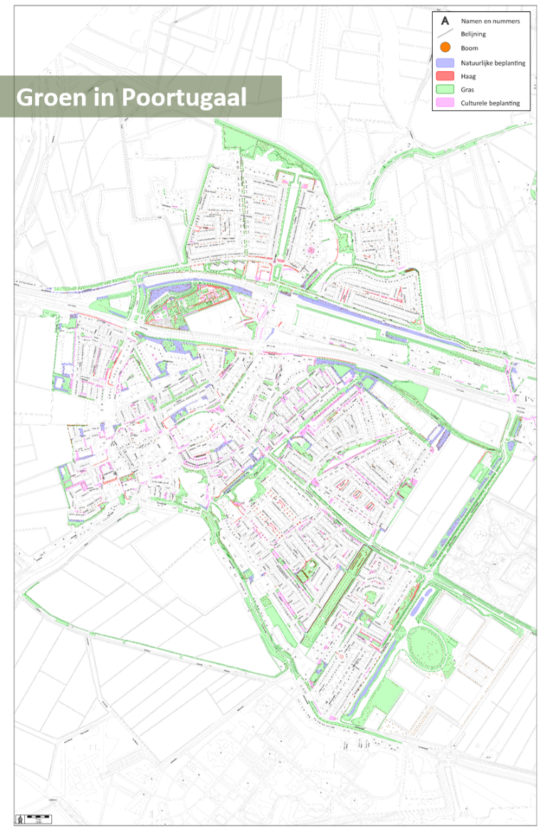 afbeelding binnen de regeling