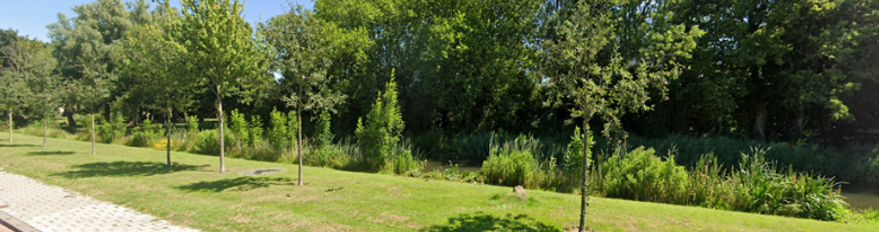 afbeelding binnen de regeling