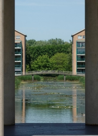 afbeelding binnen de regeling