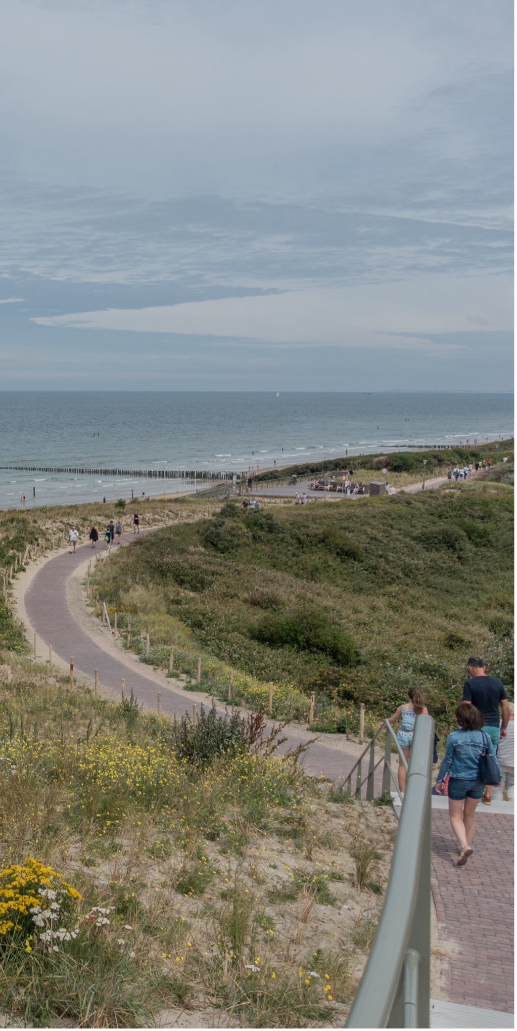 afbeelding binnen de regeling