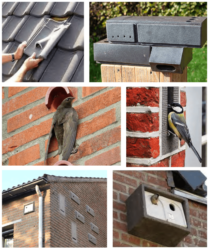 afbeelding binnen de regeling