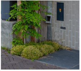 afbeelding binnen de regeling