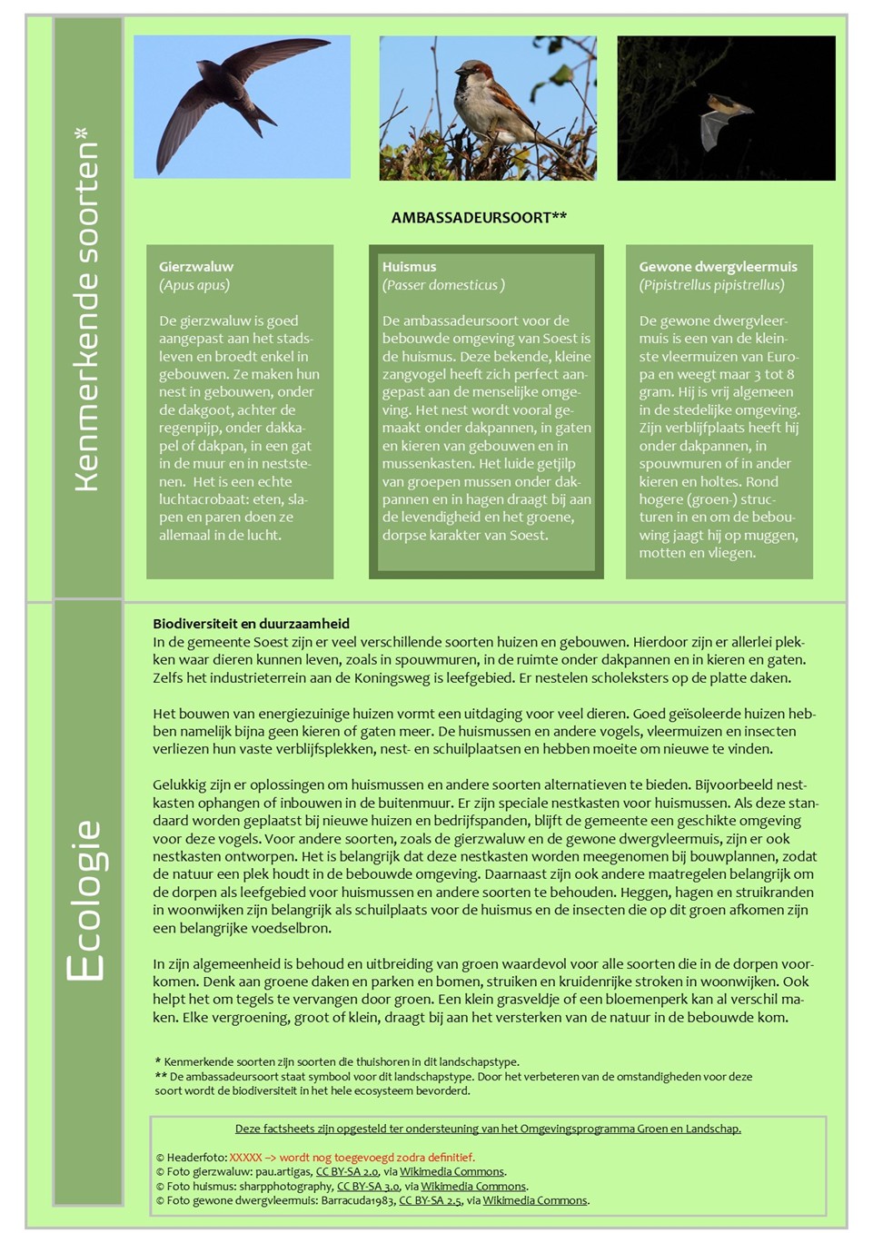 afbeelding binnen de regeling