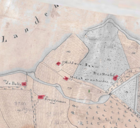 afbeelding binnen de regeling