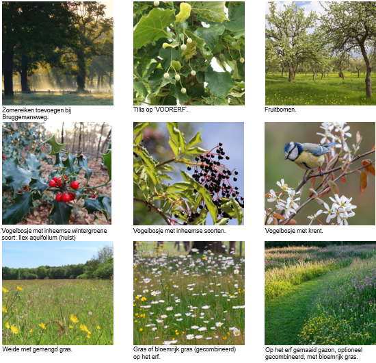 afbeelding binnen de regeling