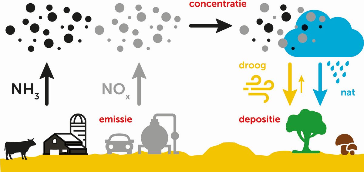 afbeelding binnen de regeling