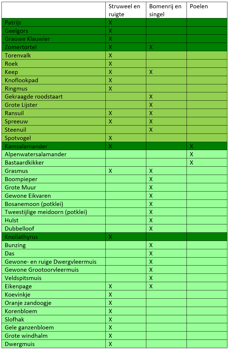 afbeelding binnen de regeling