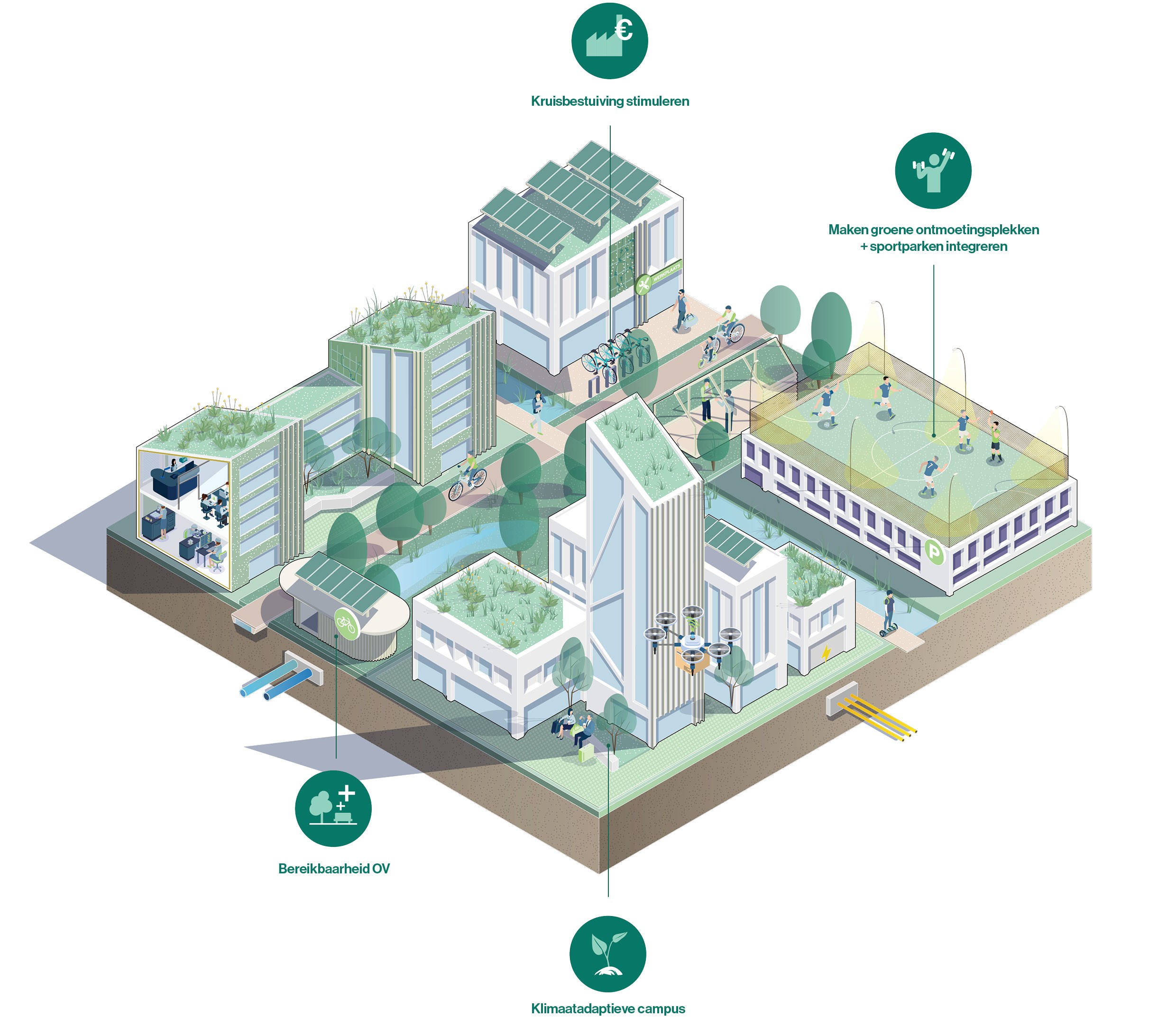 afbeelding binnen de regeling