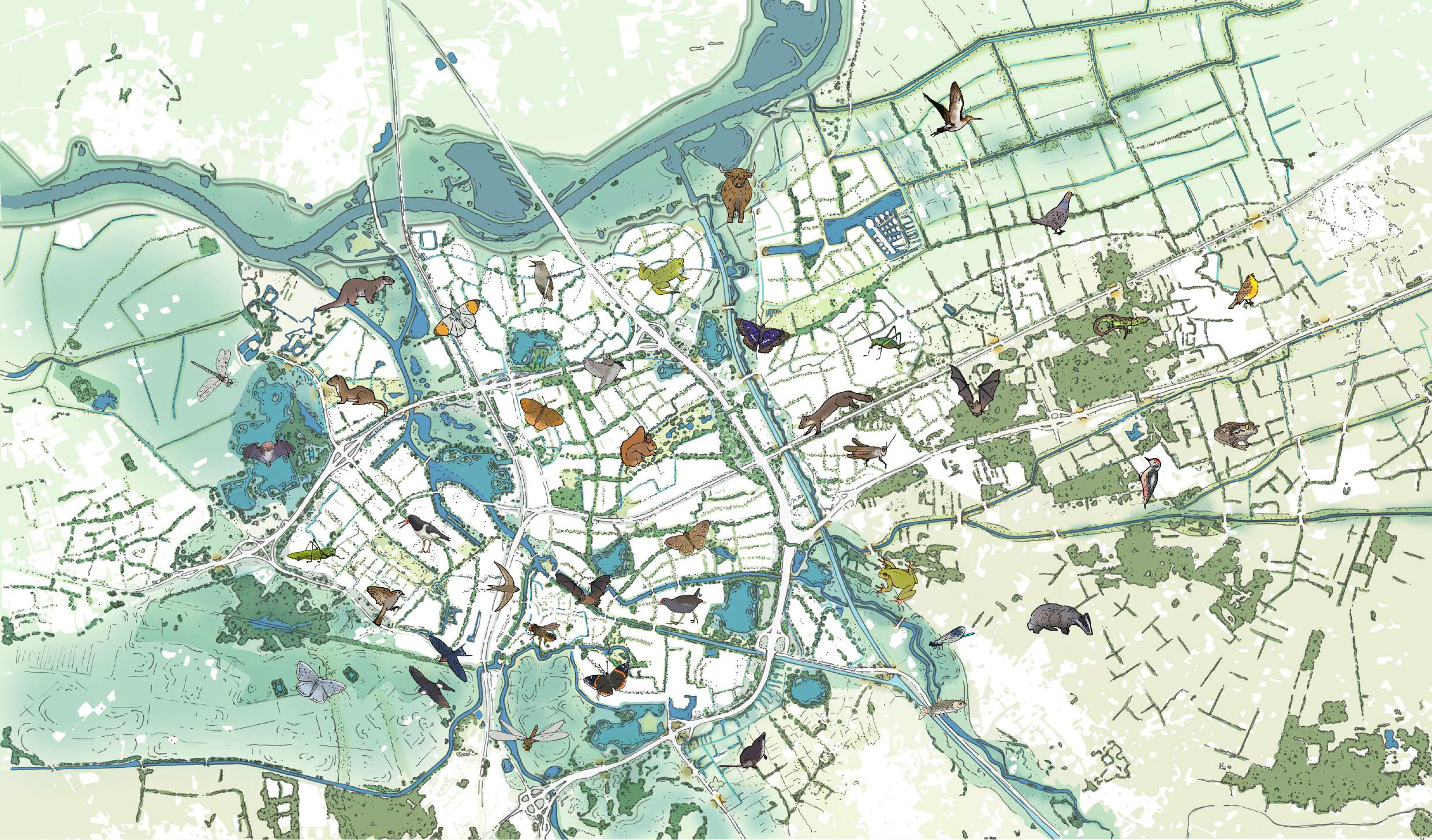 afbeelding binnen de regeling