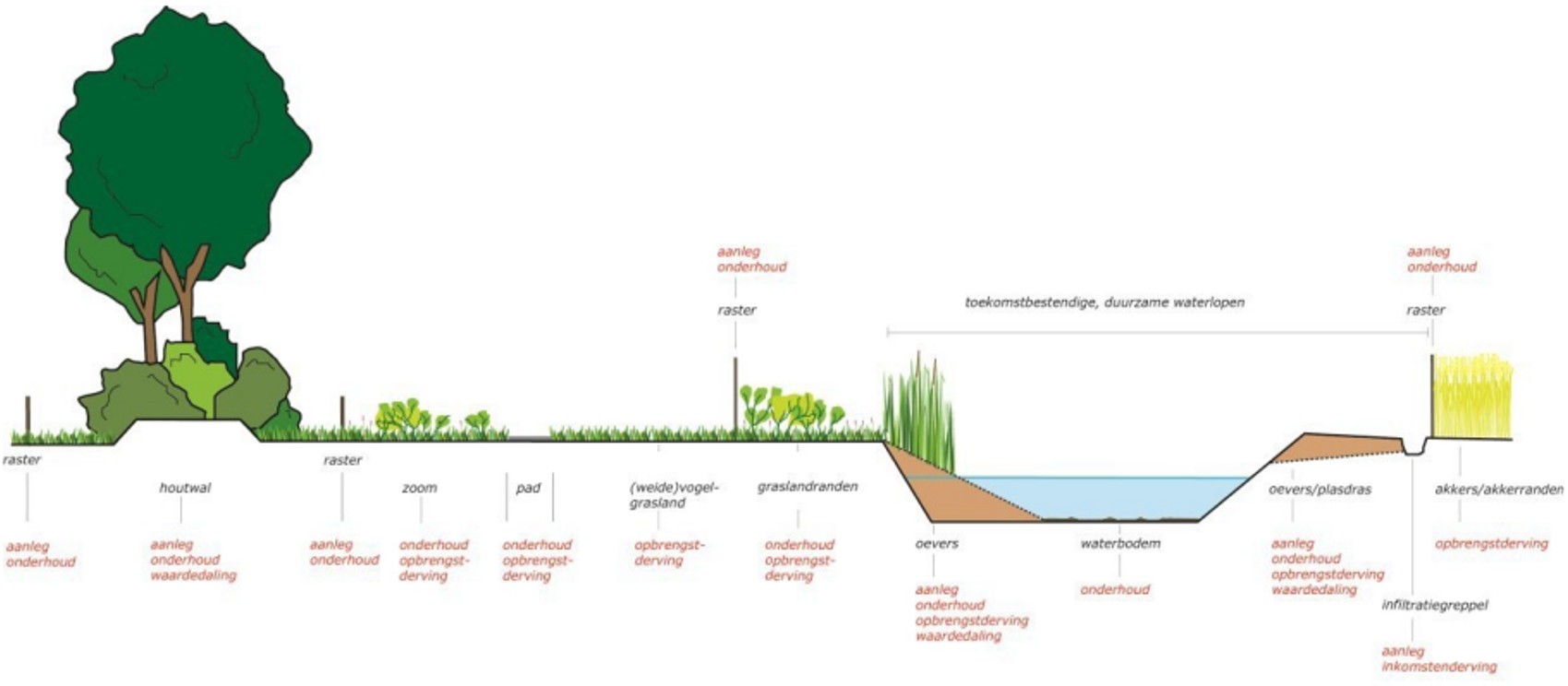 afbeelding binnen de regeling