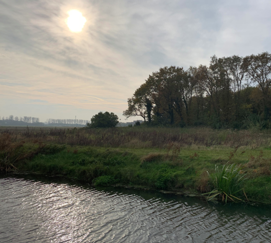 afbeelding binnen de regeling