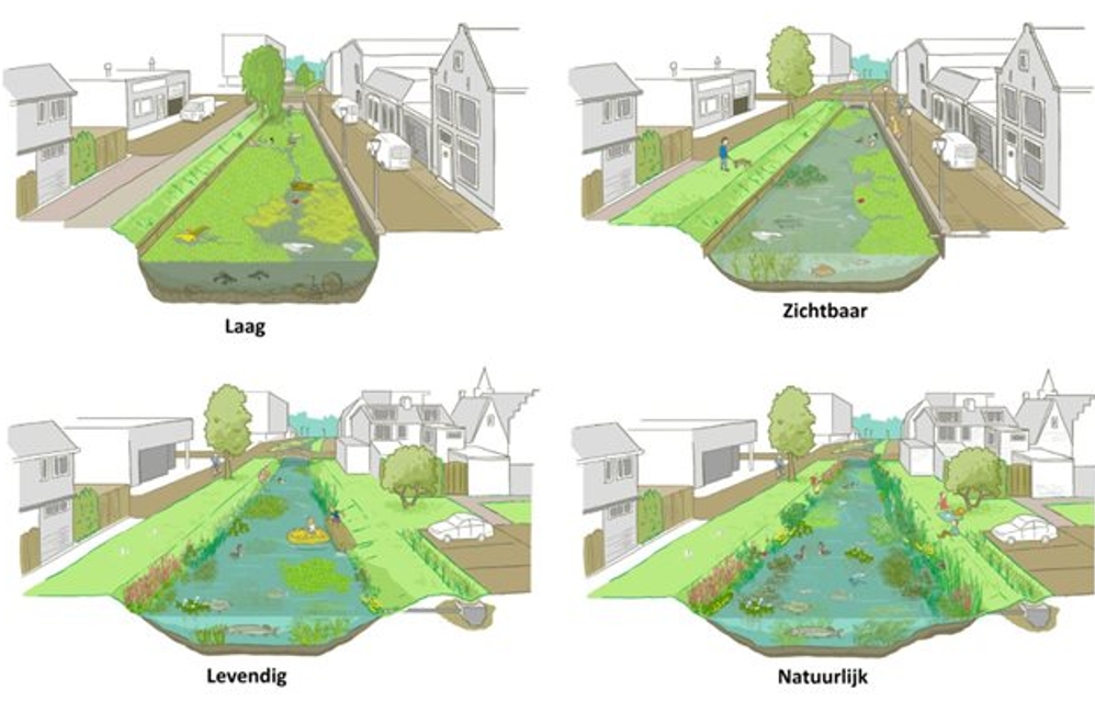 afbeelding binnen de regeling