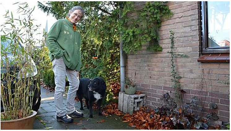 afbeelding binnen de regeling