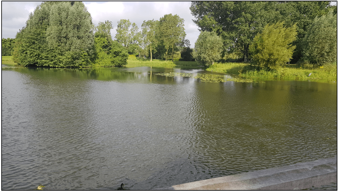 afbeelding binnen de regeling