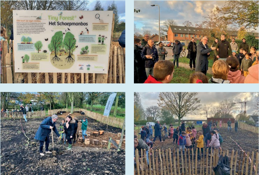 afbeelding binnen de regeling