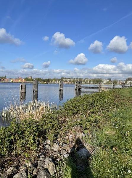 afbeelding binnen de regeling