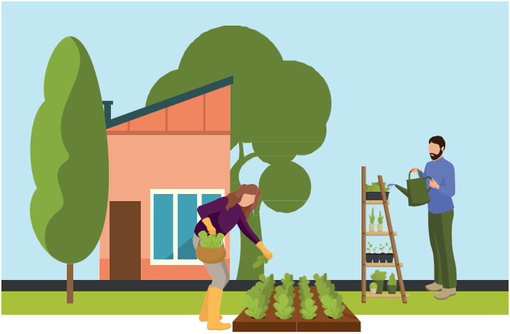 afbeelding binnen de regeling