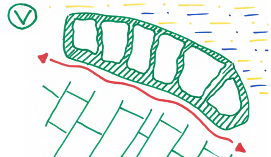 afbeelding binnen de regeling