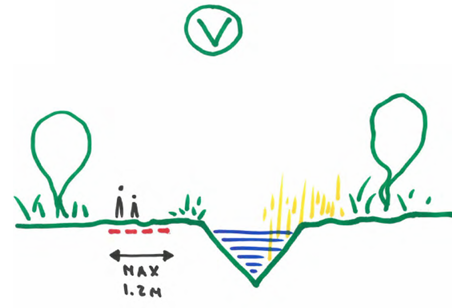 afbeelding binnen de regeling