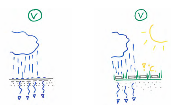 afbeelding binnen de regeling