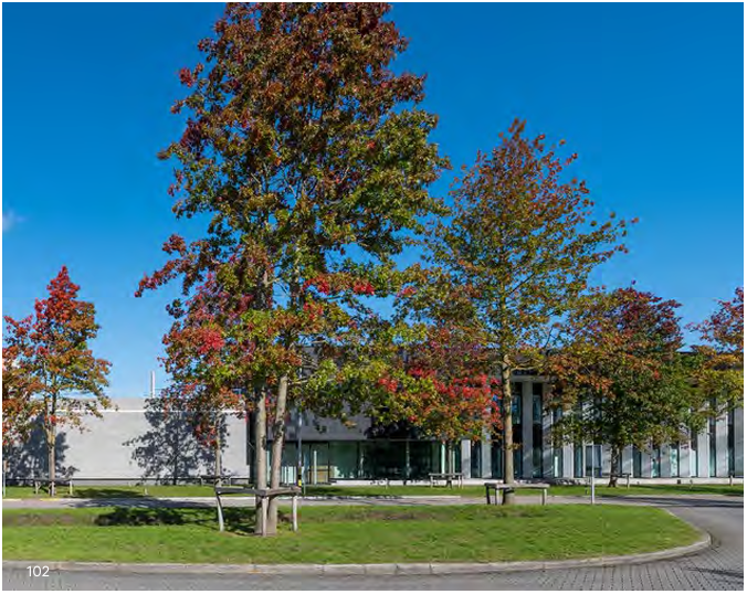 afbeelding binnen de regeling