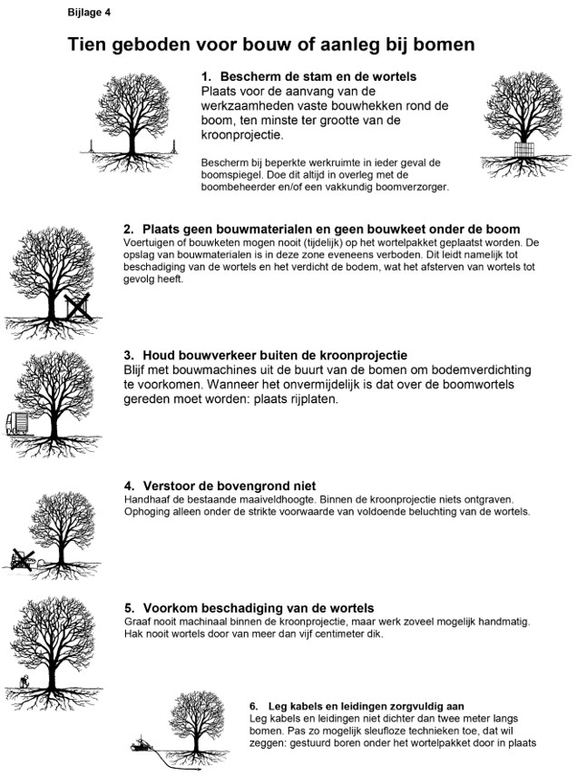afbeelding binnen de regeling