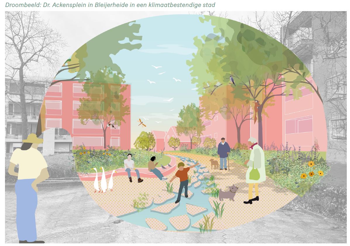 afbeelding binnen de regeling