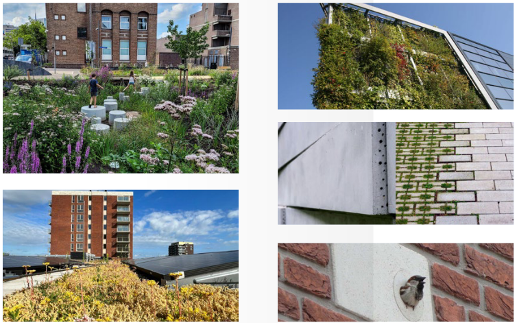 afbeelding binnen de regeling