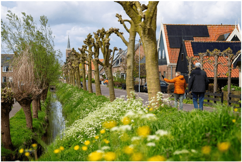 afbeelding binnen de regeling